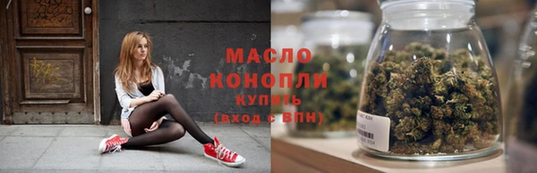 амф Верхний Тагил
