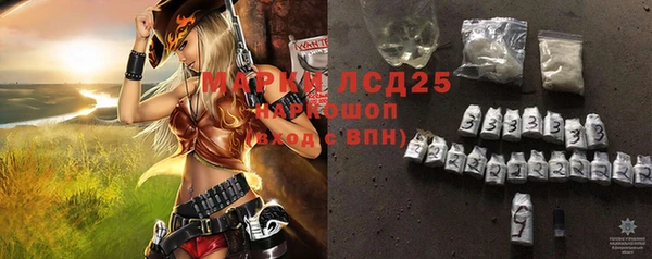 амф Верхний Тагил