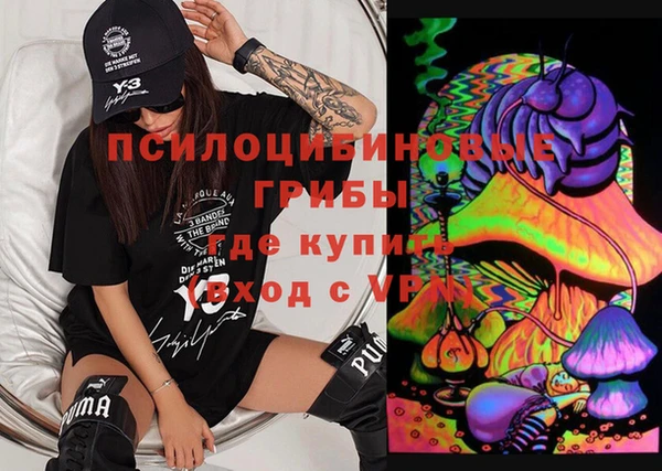амф Верхний Тагил