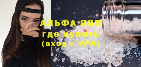 амф Верхний Тагил