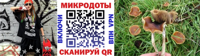 закладка  даркнет клад  Псилоцибиновые грибы Magic Shrooms  Улан-Удэ 
